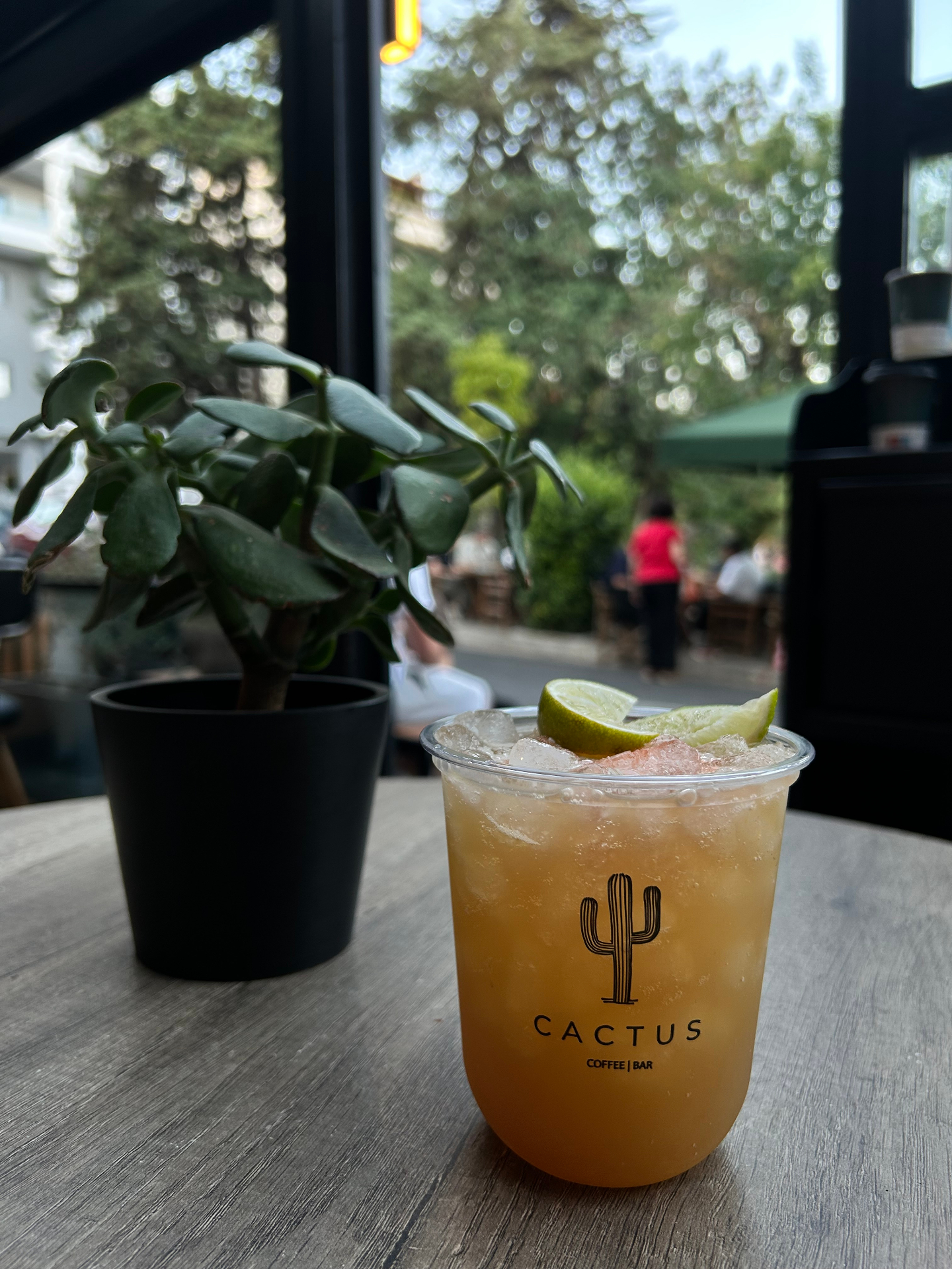 Signature Cactus cocktail στο Cactus Coffee Bar Χαϊδάρι
